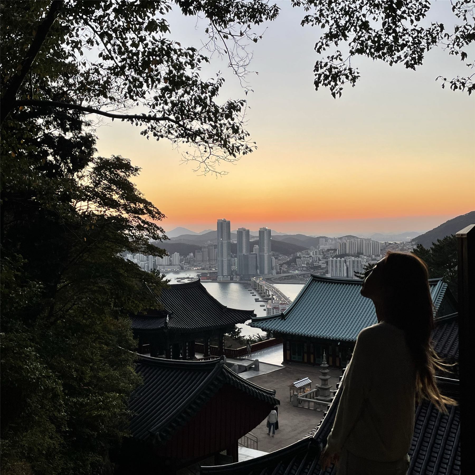 복천사 전각 지붕 너머로 내려다보는 남항의 밤